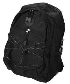 Compass Travel Backpack
