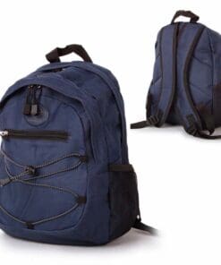 Compass Travel Backpack