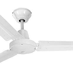 EDM Ceiling Fan