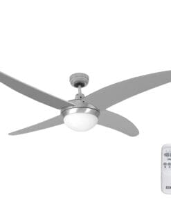 EDM Ceiling Fan