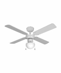 EDM Ceiling Fan