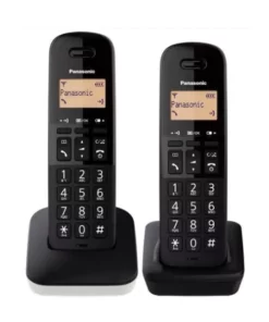 Panasonic Duo Cordless Phone